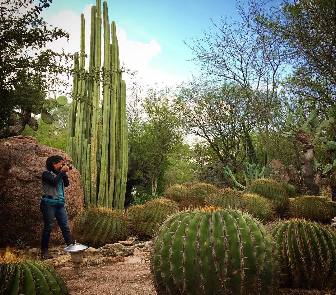 Jardín_botánico
