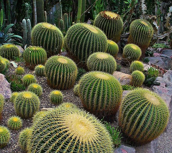 Planetario