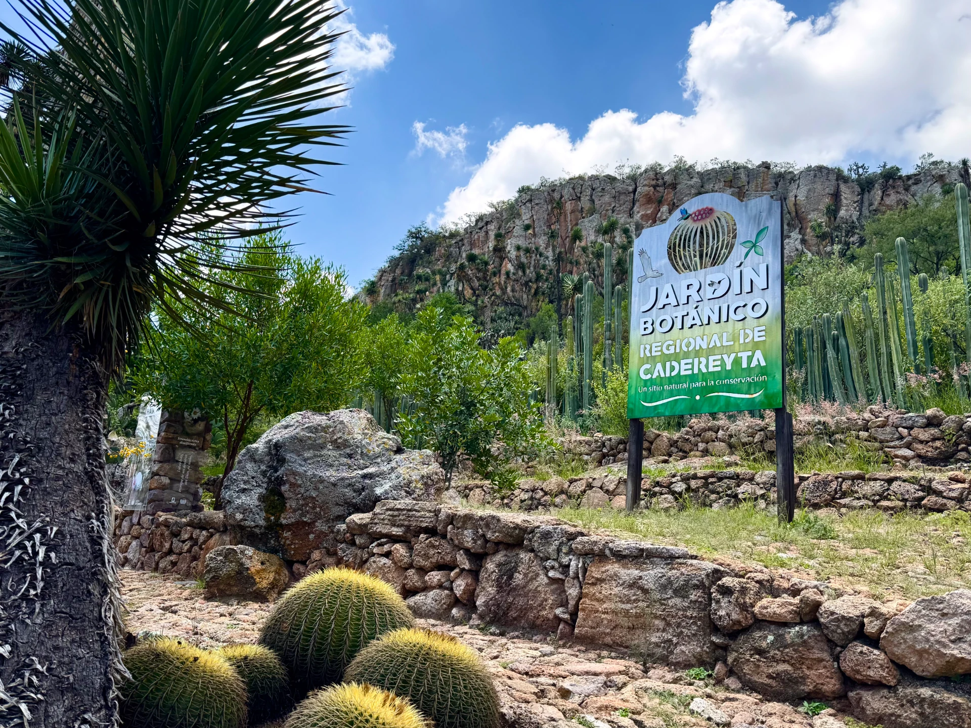 Jardín Botánico Regional en el Centro de Cadereyta